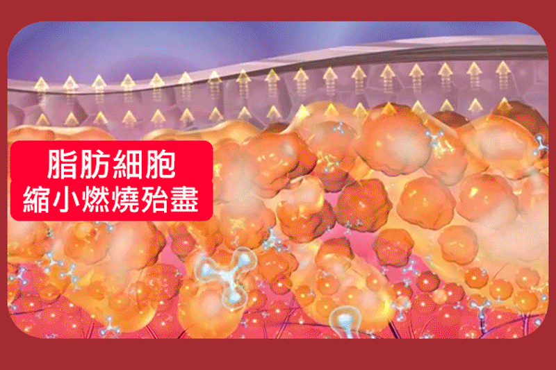 1779982814698865.gif